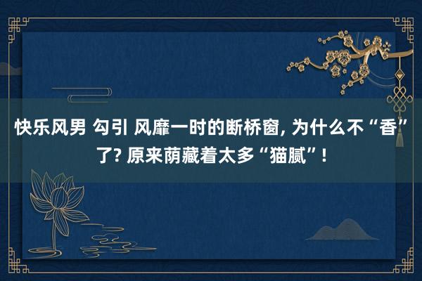 快乐风男 勾引 风靡一时的断桥窗， 为什么不“香”了? 原来荫藏着太多“猫腻”!