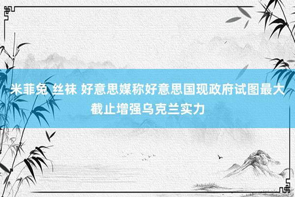 米菲兔 丝袜 好意思媒称好意思国现政府试图最大截止增强乌克兰实力