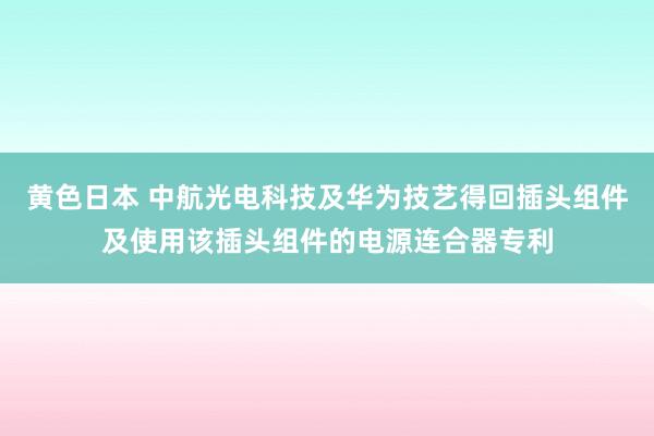 黄色日本 中航光电科技及华为技艺得回插头组件及使用该插头组件的电源连合器专利