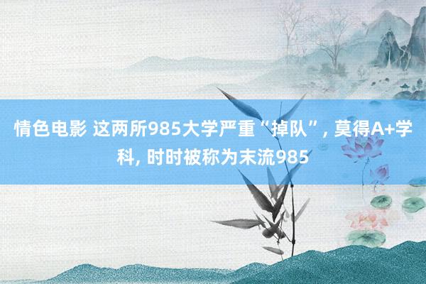 情色电影 这两所985大学严重“掉队”， 莫得A+学科， 时时被称为末流985