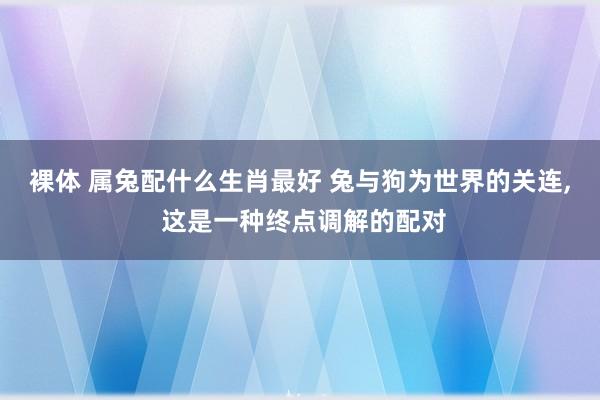 裸体 属兔配什么生肖最好 兔与狗为世界的关连， 这是一种终点调解的配对